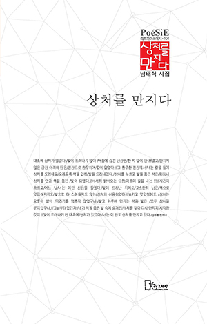 남태식 시집 표지0.jpg