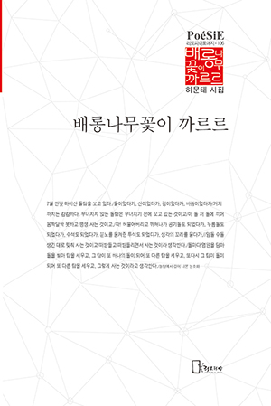 허문태 시집 표지0.jpg