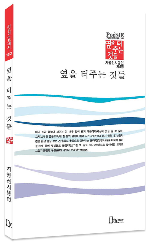 지평선시동인 5집 표지 모형.jpg