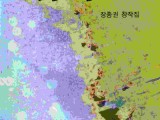 자장암의 금개구리(장종권 창작집)
